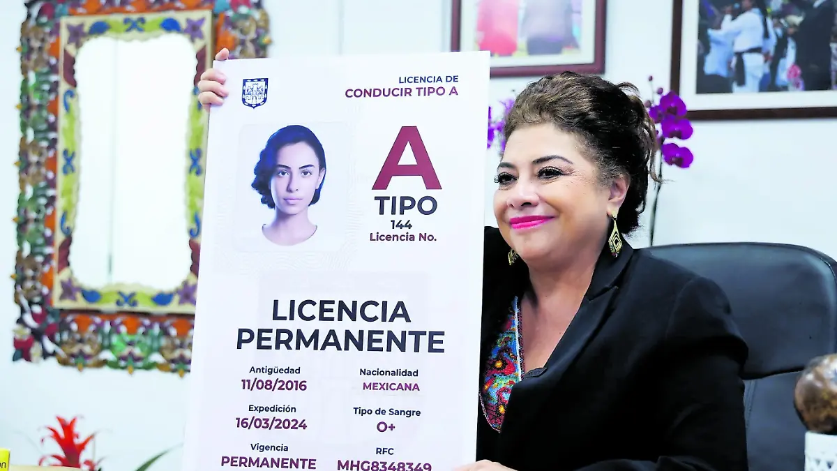 Licencia de conducir permanente (1)